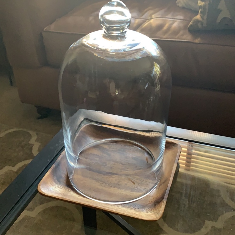 Glass Dome 12” high, wood platter